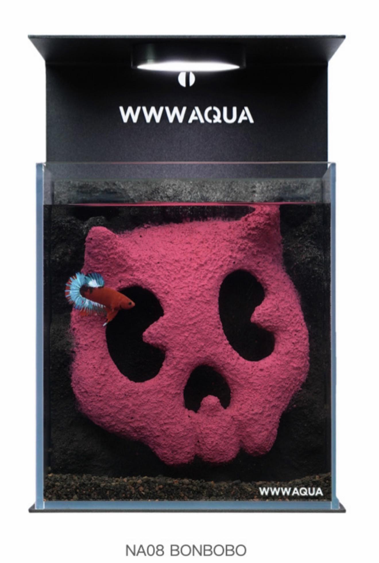wwwaqua設計師造型桌上迷你魚缸生態魚缸套組